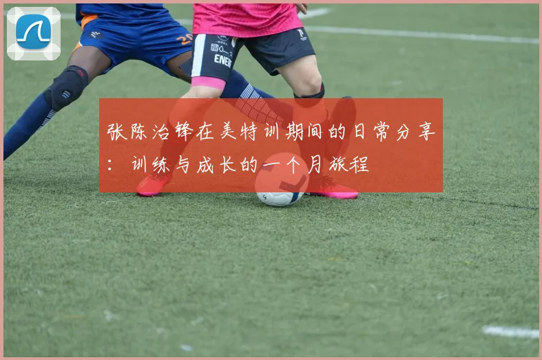 张陈治锋在美特训期间的日常分享：训练与成长的一个月旅程