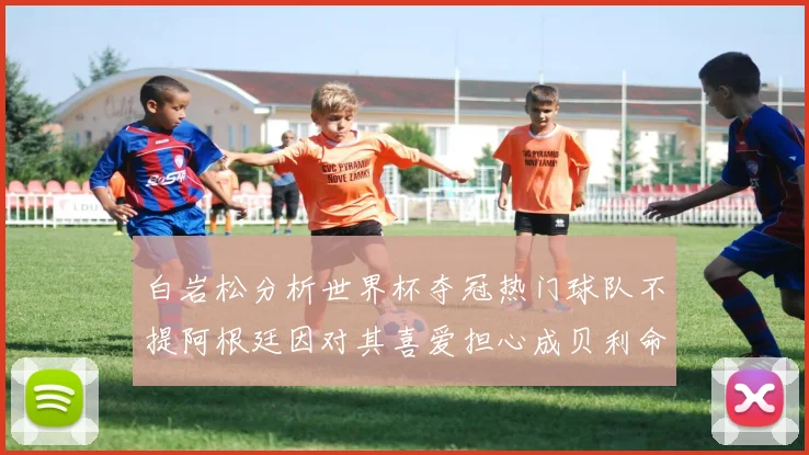 白岩松分析世界杯夺冠热门球队不提阿根廷因对其喜爱担心成贝利命运