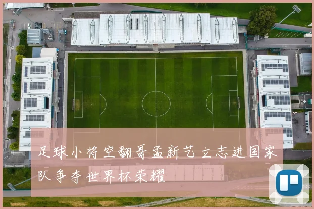 足球小将空翻哥孟新艺立志进国家队争夺世界杯荣耀