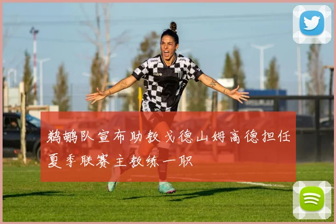 鹈鹕队宣布助教戈德山姆高德担任夏季联赛主教练一职