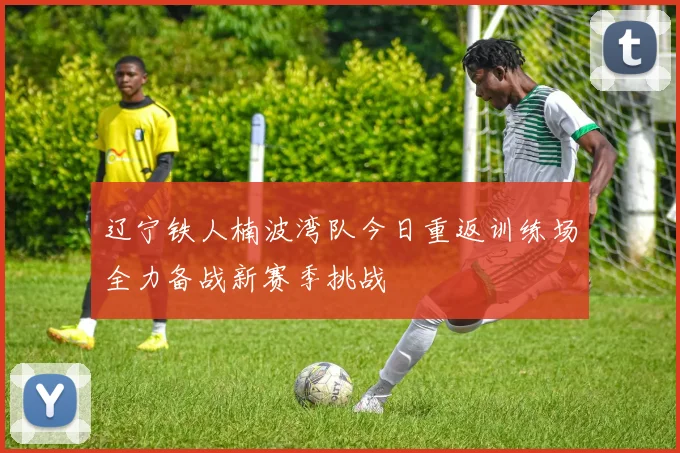 辽宁铁人楠波湾队今日重返训练场全力备战新赛季挑战